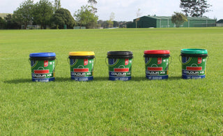 5 REASONS FLEET PAINTS OUTSHINE THE COMPETITION